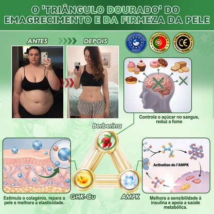 DOTALE® NAD+ Moringa Berberina AMPK | Adesivo Nano Microagulhas ✅ 1x/dia | Resultados visíveis em 7 dias